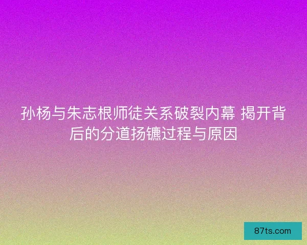 孙杨与朱志根师徒关系破裂内幕 揭开背后的分道扬镳过程与原因