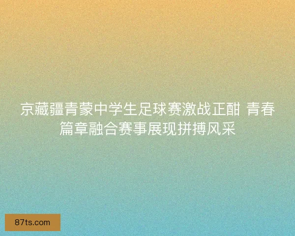 京藏疆青蒙中学生足球赛激战正酣 青春篇章融合赛事展现拼搏风采