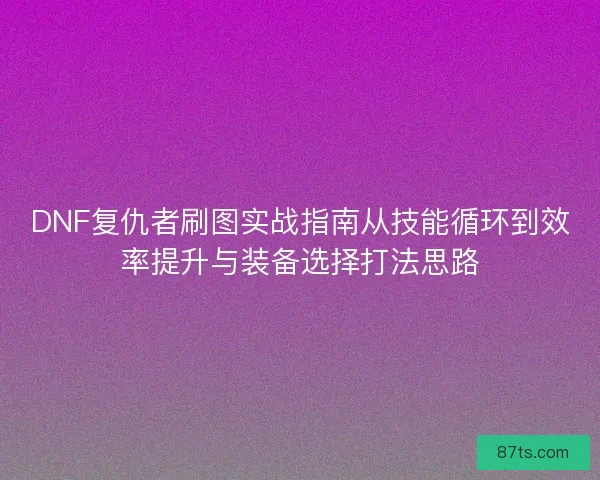 DNF复仇者刷图实战指南从技能循环到效率提升与装备选择打法思路